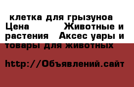 клетка для грызуноа › Цена ­ 500 -  Животные и растения » Аксесcуары и товары для животных   